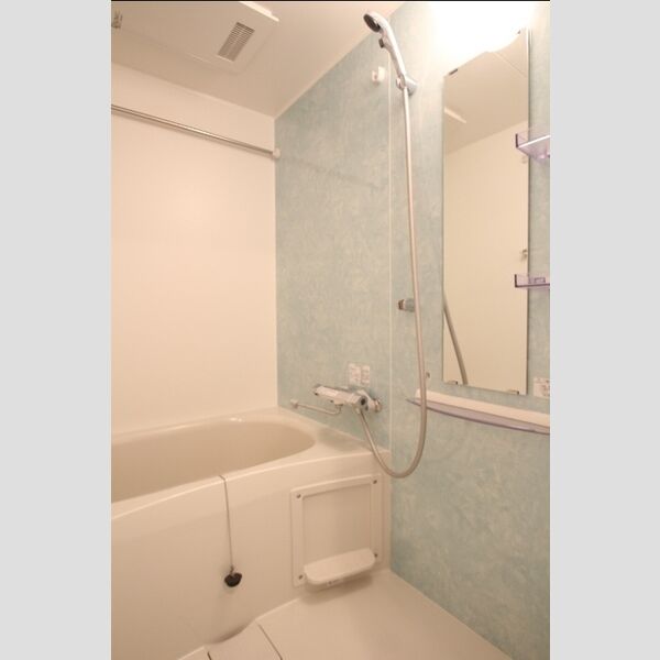 エクセリア北加平町201号室 バス