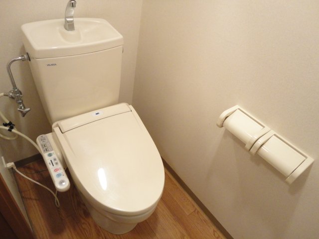 ディア フレンド ＫＯＩＺＵＭＩ206号室 シャワー付トイレ