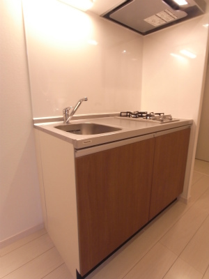 シュネシス1階 キッチン