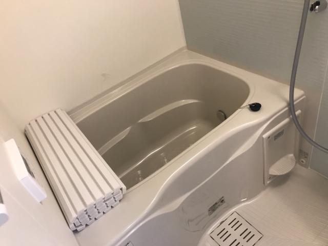 セレニテス バス