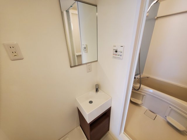 Ｍａｉｓｏｎ　ｄｅ　Ｇｉｎｚａ　Ｅａｓｔ502号室 洗面