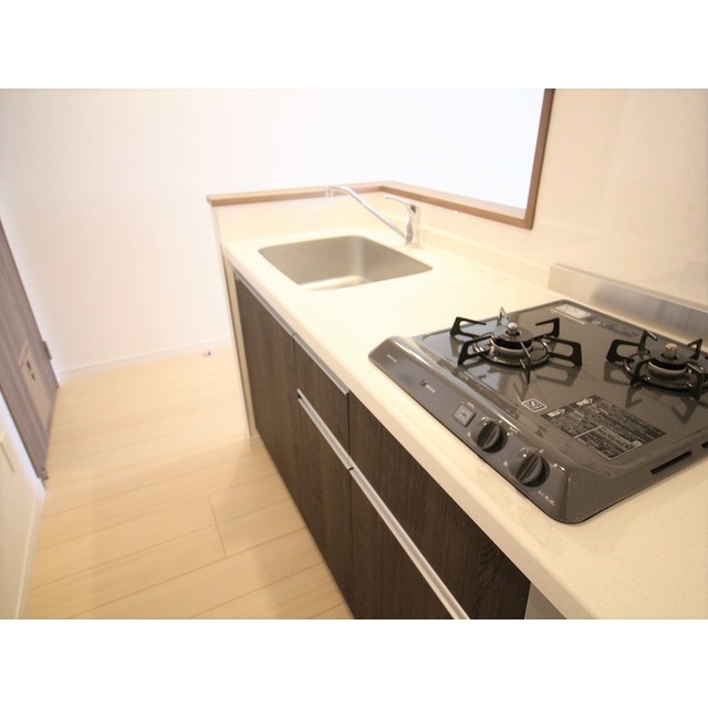 プレール・ドゥーク東向島301号室 キッチン