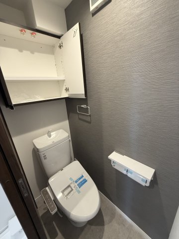 ベイルームHintertux203号室 トイレ