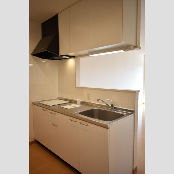 エスト・レザン　Ⅱ システムキッチン