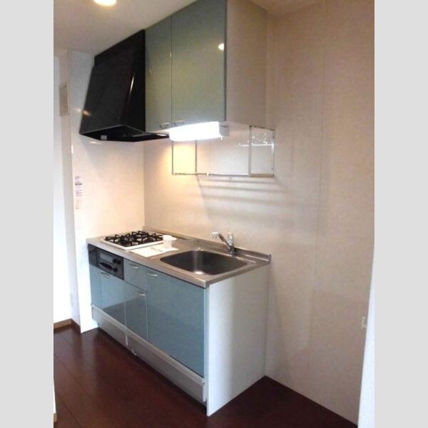 ヴィクトワール　Ⅱ201号室 システムキッチン