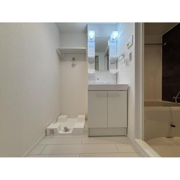 ステラサイド301号室 洗面