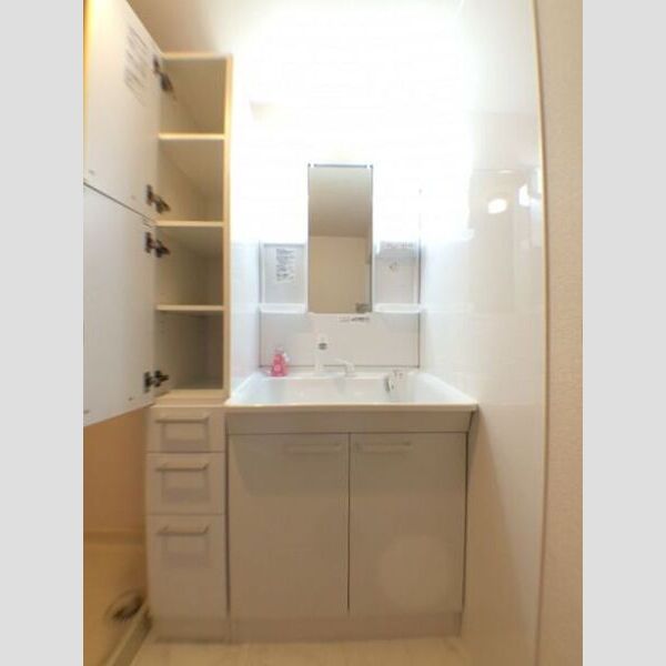 ビラ・フラワーヒル102号室 洗面所