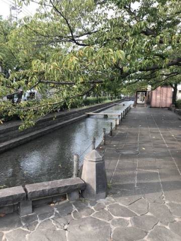 ジョイフルお花茶屋5階 部屋その他