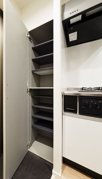 レイズ橋本1階 玄関