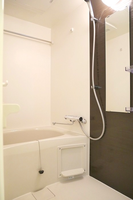 ラフィスタ鷺沼（北棟） 内観