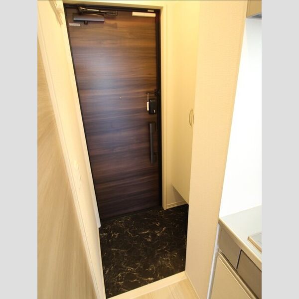 ビューテラス303号室 玄関