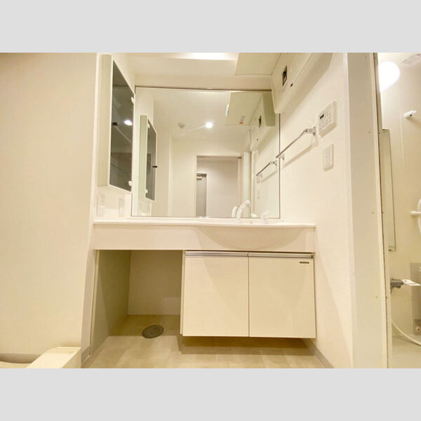 le Cap Estel 201号室　洗髪洗面化粧台