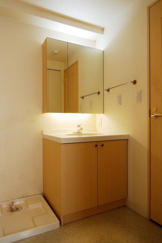 レジディア自由が丘5階 洗面