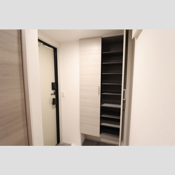 Resi NOIR(レジノワール)202号室 シューズボックス(トールタイプ)