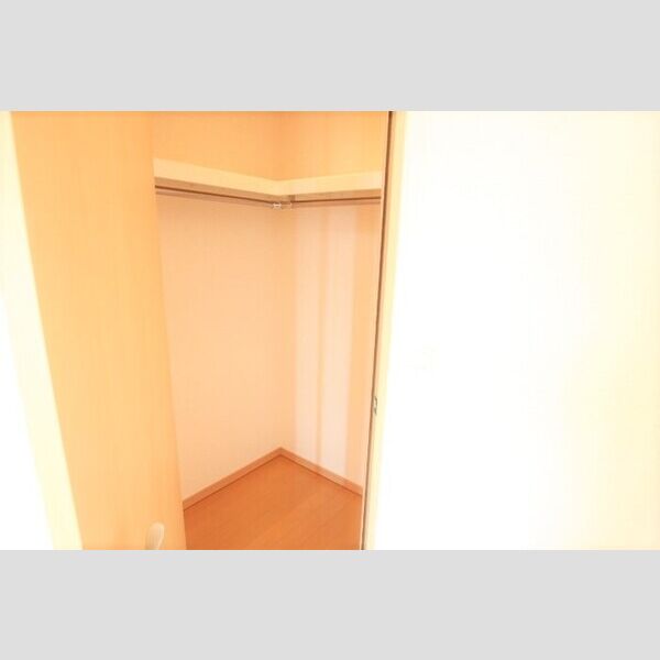 ロイヤルKJ906号室 クローゼット