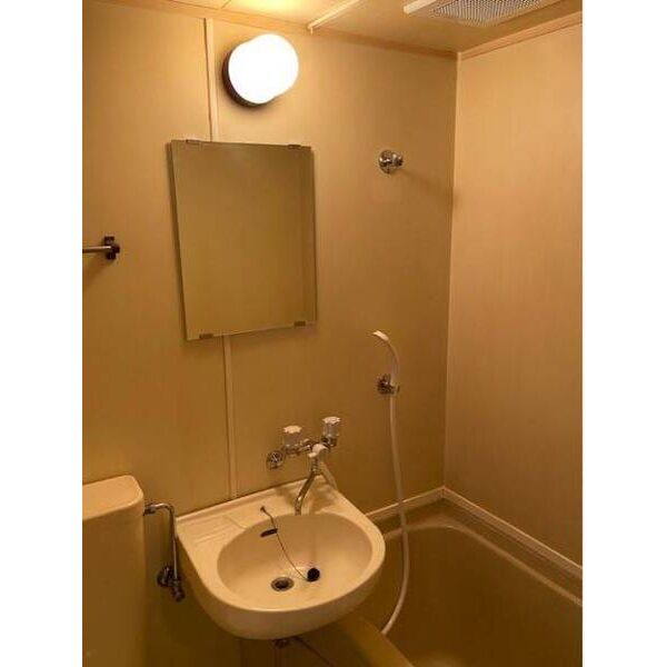 パンシオン　元住吉0103号室 洗面