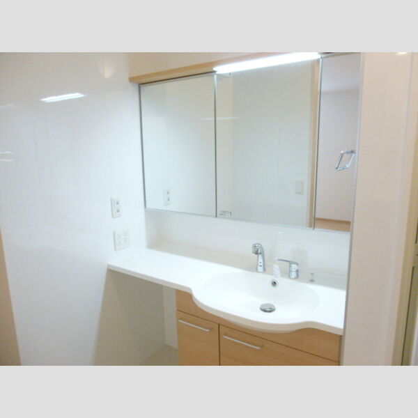 gransoleil(グランソレーユ)103号室 洗面