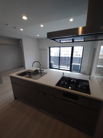 SYFORME ITABASHI Ⅲ902号室 ※同タイプ参考写真です（ash）