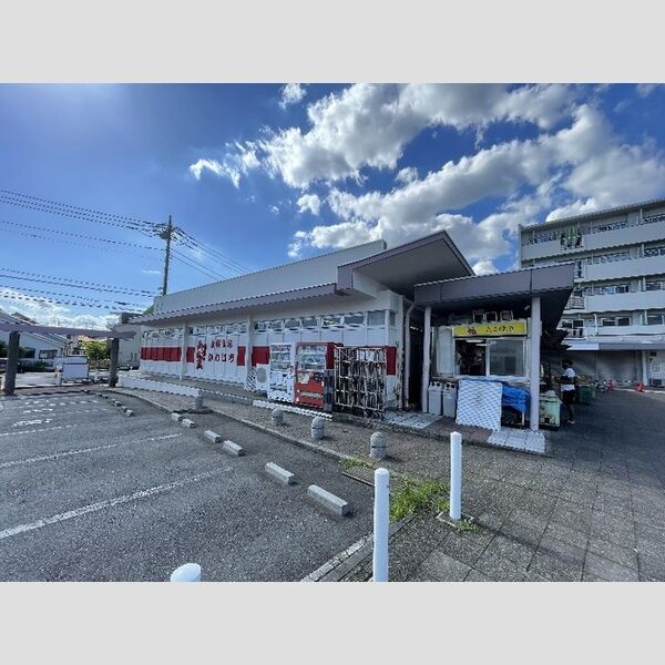 セリジエ302号室 かわいち尾山台店