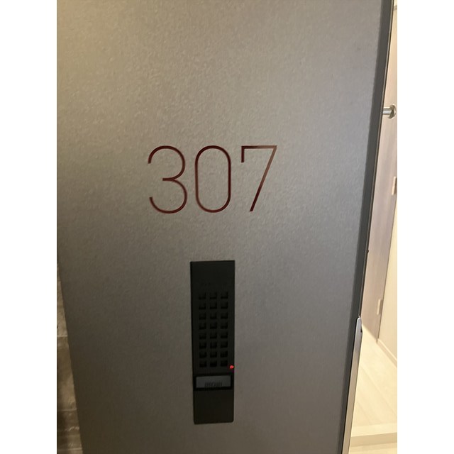 ACP Residence 新江古田0307号室 内観