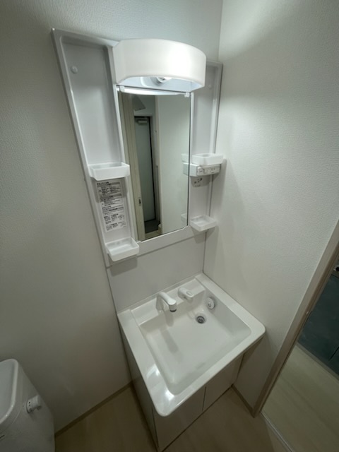 ブリーズ東船橋0102号室 洗面