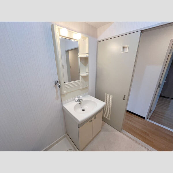 エクセルハイム海宝201号室 洗髪洗面化粧台