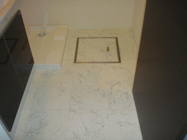 クラルテ　アジュール201号室 脱衣所