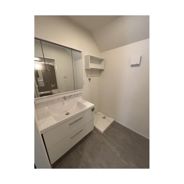 練馬区中村3丁目戸建A棟A号室 洗面