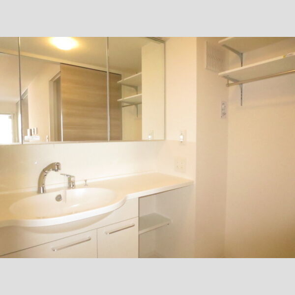 アンジュール南六郷303号室 洗髪洗面化粧台