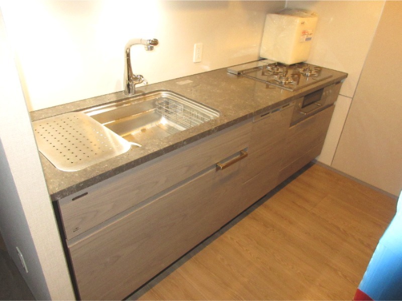 グレンドール新宿牛込柳町 キッチン