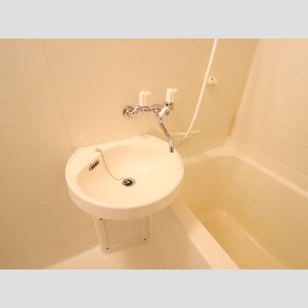 ハートリーフレジデンス206号室 洗面台