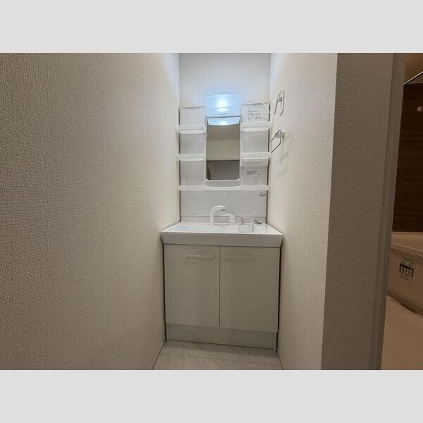 リーブルファイン柏南逆井 洗面