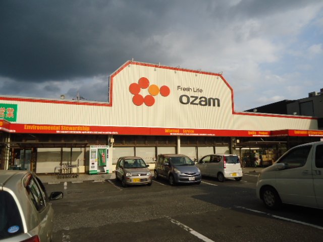 ＥＸＣＥＬ　ＴＥＲＲＡＣＥ スーパーオザムけやき台店まで1,259ｍ
