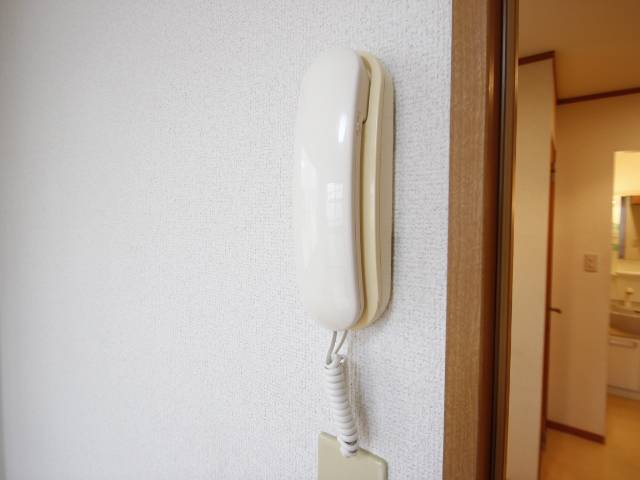 ソレイユ上福岡1階 部屋その他