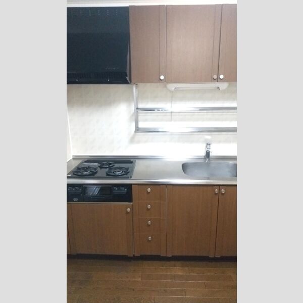 グリーンパール　ABA-201号室 キッチン