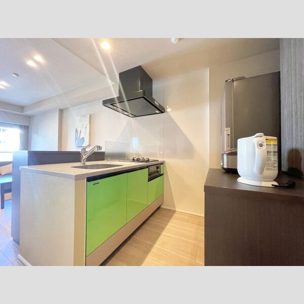 ロイジェントパークス四ツ谷802号室 キッチン