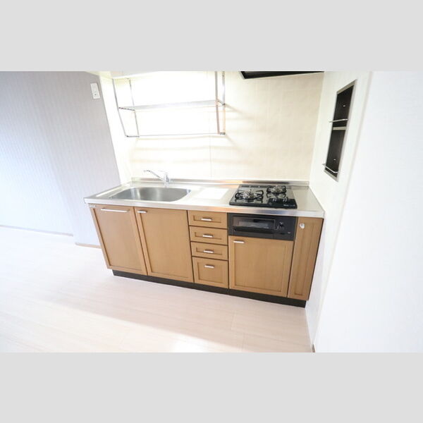 パレドリュンヌ キッチン