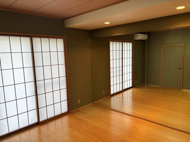 ブルーシャトー0101号室 壁1面鏡