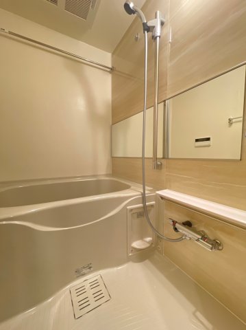 DIPS練馬春日町208号室 お風呂