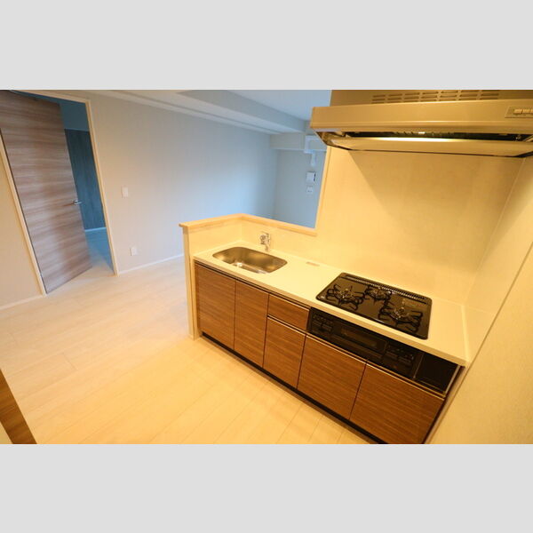 GRAND SOLEIL315号室 対面キッチン