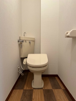 エムズマンション3階 トイレ