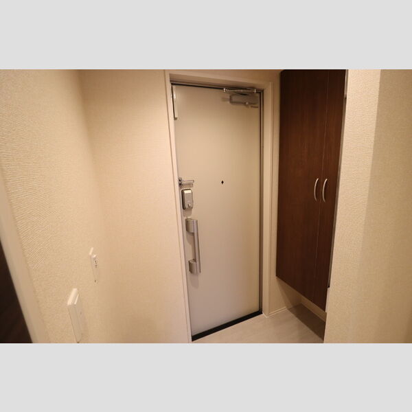 D-ROOM椿森1丁目B303号室 玄関