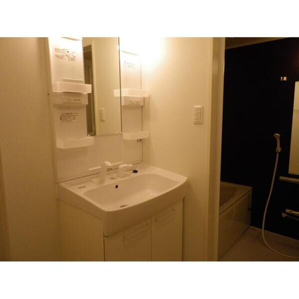 Village　Globo203号室 洗面