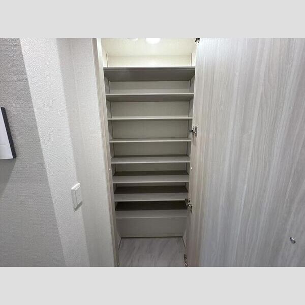 セレスティア六町Ⅱ301号室 シューズボックス