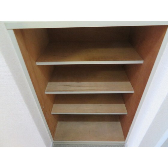 エレガンス綾瀬５0605号室 シューズボックス