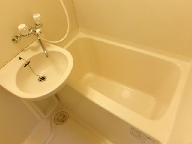 Ｂｉｇ　Ｔｈｒｏｕｇｈ0213号室 お風呂