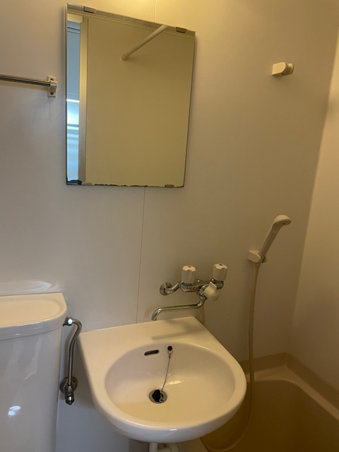 グリーンハウスＮｏ２0108号室 洗面