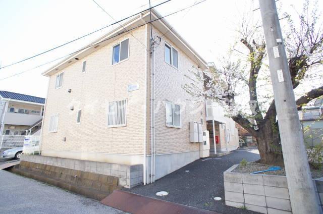 文京弐番館 敷地内に桜咲いてきれいですよ