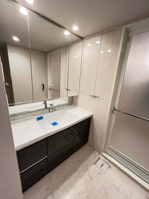 レジディアタワー上池袋（タワー棟）17階 洗面