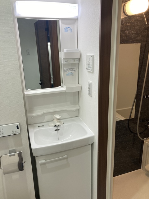 ＰＩＮＥＳ平和台0201号室 洗面